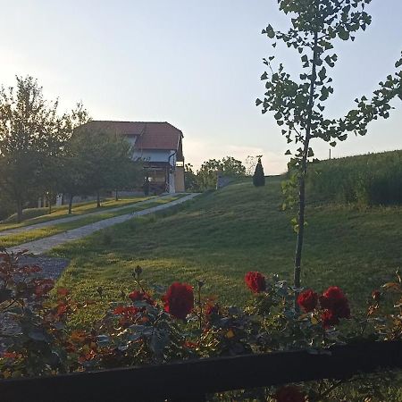 Stari Trsic Apartment Bagian luar foto