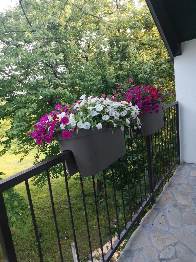 Stari Trsic Apartment Bagian luar foto