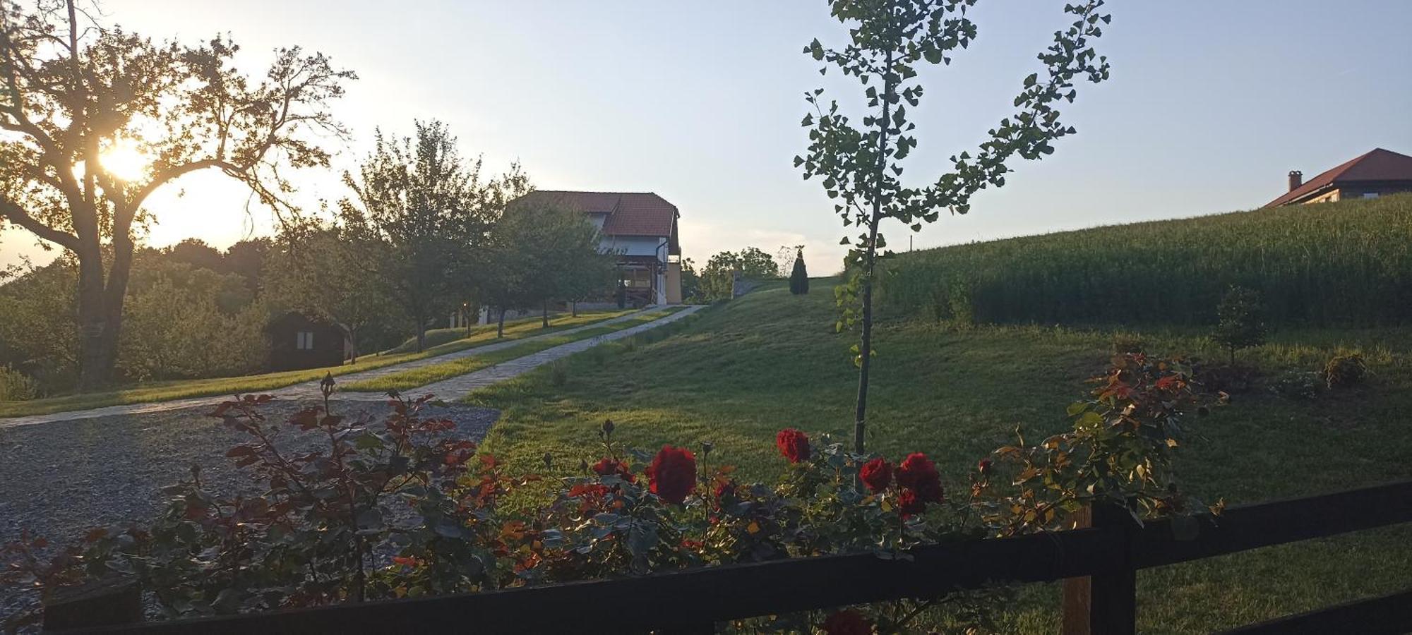 Stari Trsic Apartment Bagian luar foto