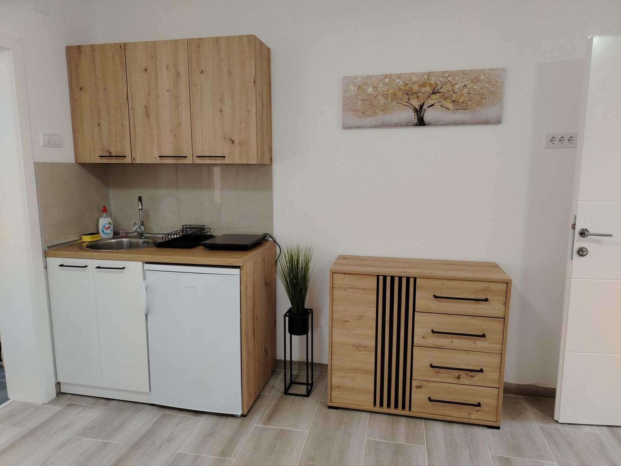 Stari Trsic Apartment Bagian luar foto